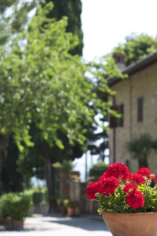 Il Casale Del Cotone Landhaus